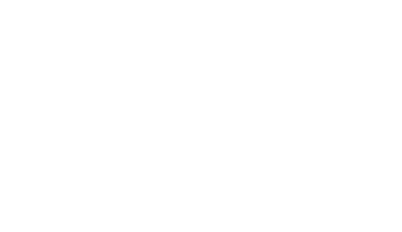 Welee Awards